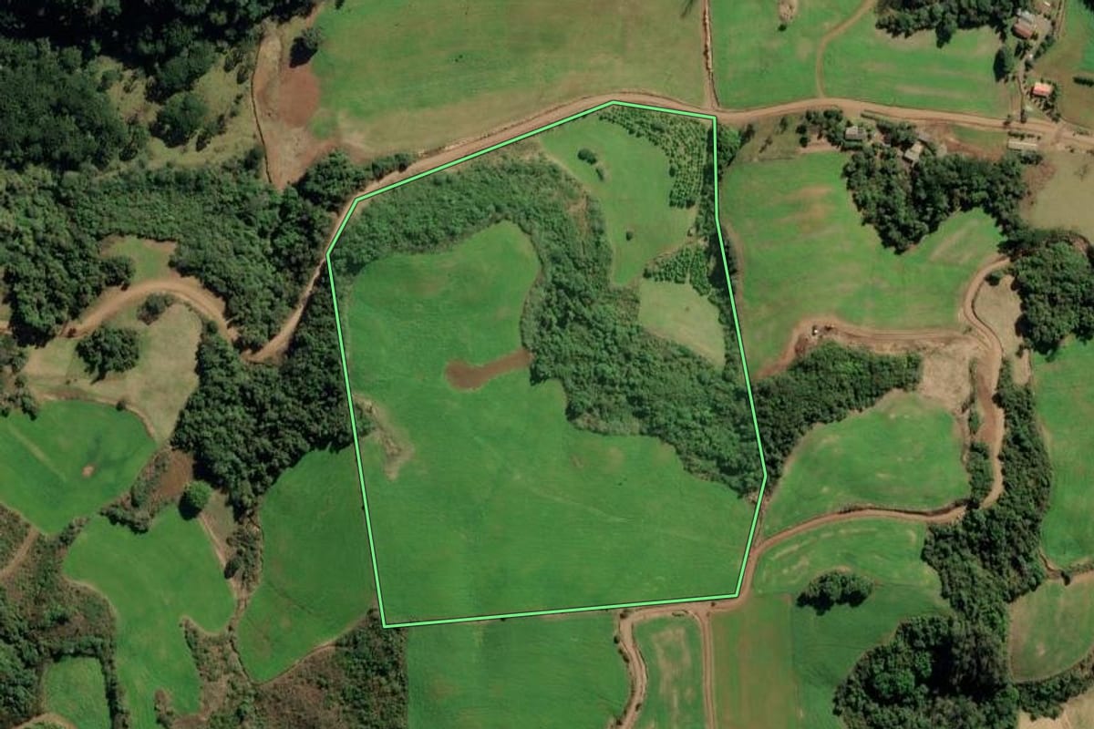 Imagem de satélite do imóvel rural em Itapuca (RS), com o contorno declarado no CAR desenhado por cima.