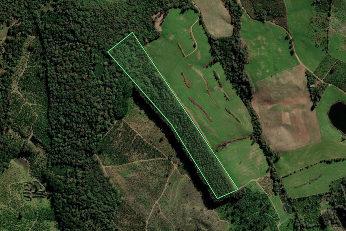 Imagem de satélite do imóvel rural em Itapuca (RS), com o contorno declarado no CAR desenhado por cima.