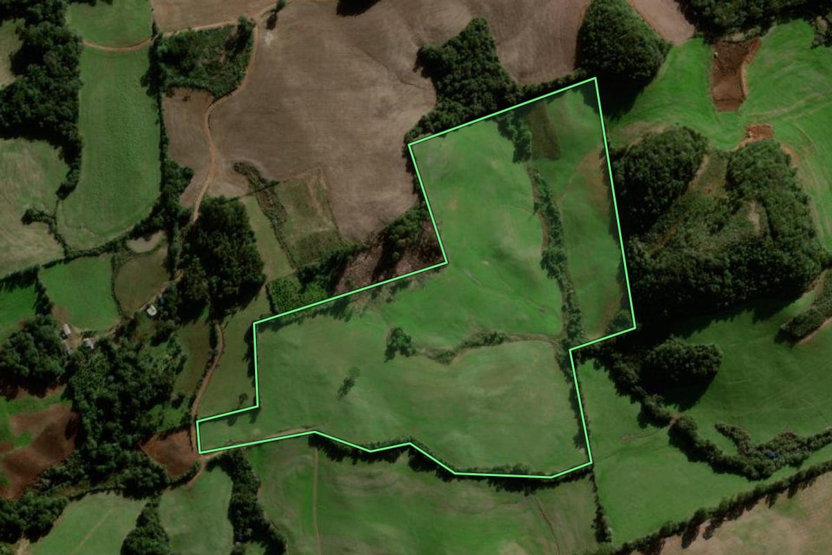 Imagem de satélite do imóvel rural em Itapuca (RS), com o contorno declarado no CAR desenhado por cima.