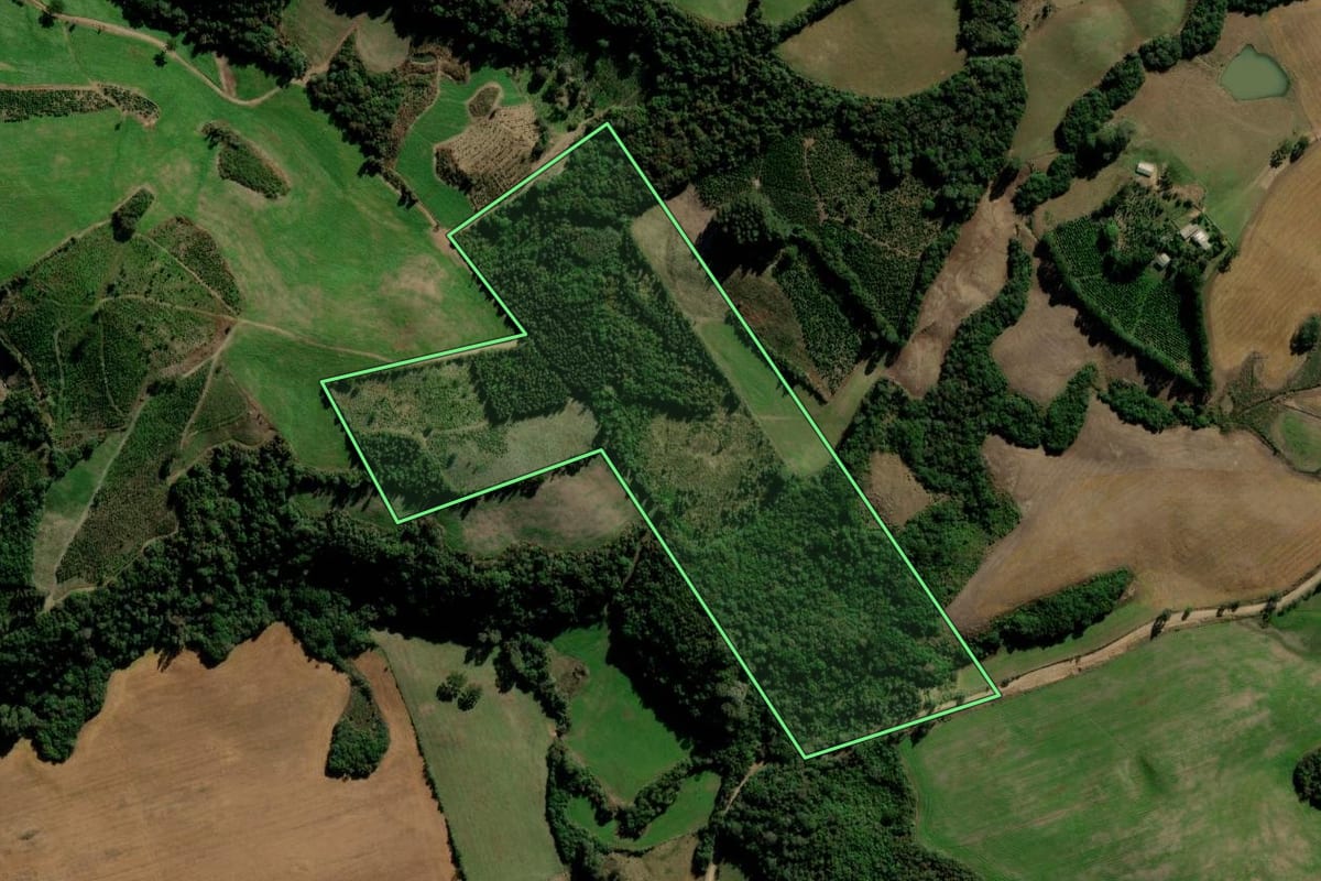 Imagem de satélite do imóvel rural em Itapuca (RS), com o contorno declarado no CAR desenhado por cima.