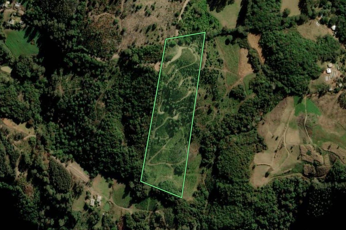 Imagem de satélite do imóvel rural em Itapuca (RS), com o contorno declarado no CAR desenhado por cima.
