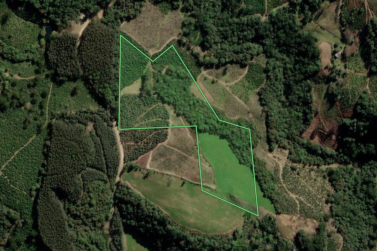 Imagem de satélite do imóvel rural em Itapuca (RS), com o contorno declarado no CAR desenhado por cima.