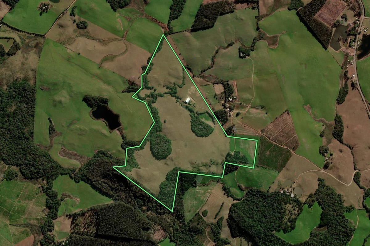 Imagem de satélite do imóvel rural em Itapuca (RS), com o contorno declarado no CAR desenhado por cima.