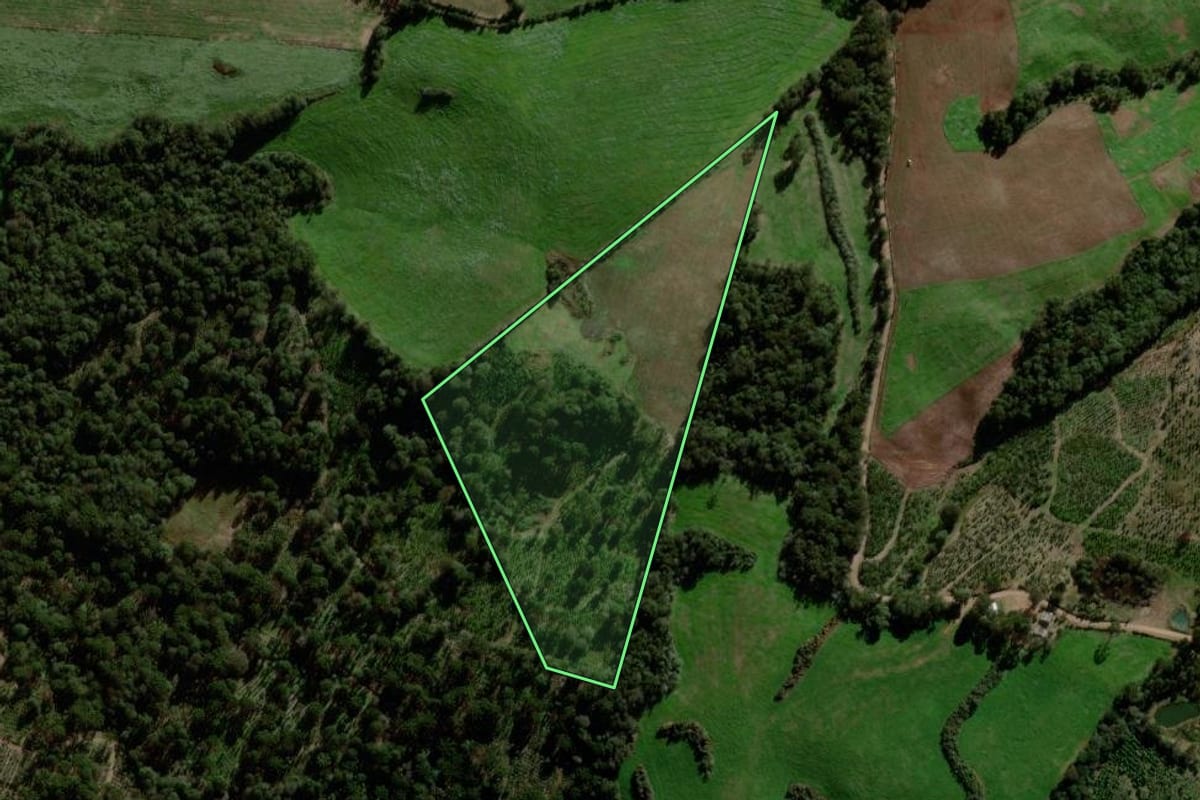 Imagem de satélite do imóvel rural em Itapuca (RS), com o contorno declarado no CAR desenhado por cima.