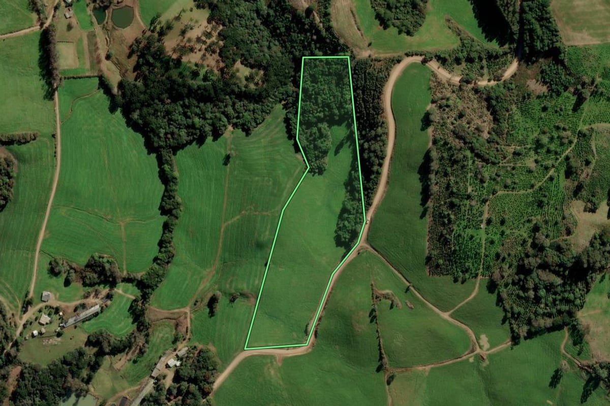 Imagem de satélite do imóvel rural em Itapuca (RS), com o contorno declarado no CAR desenhado por cima.