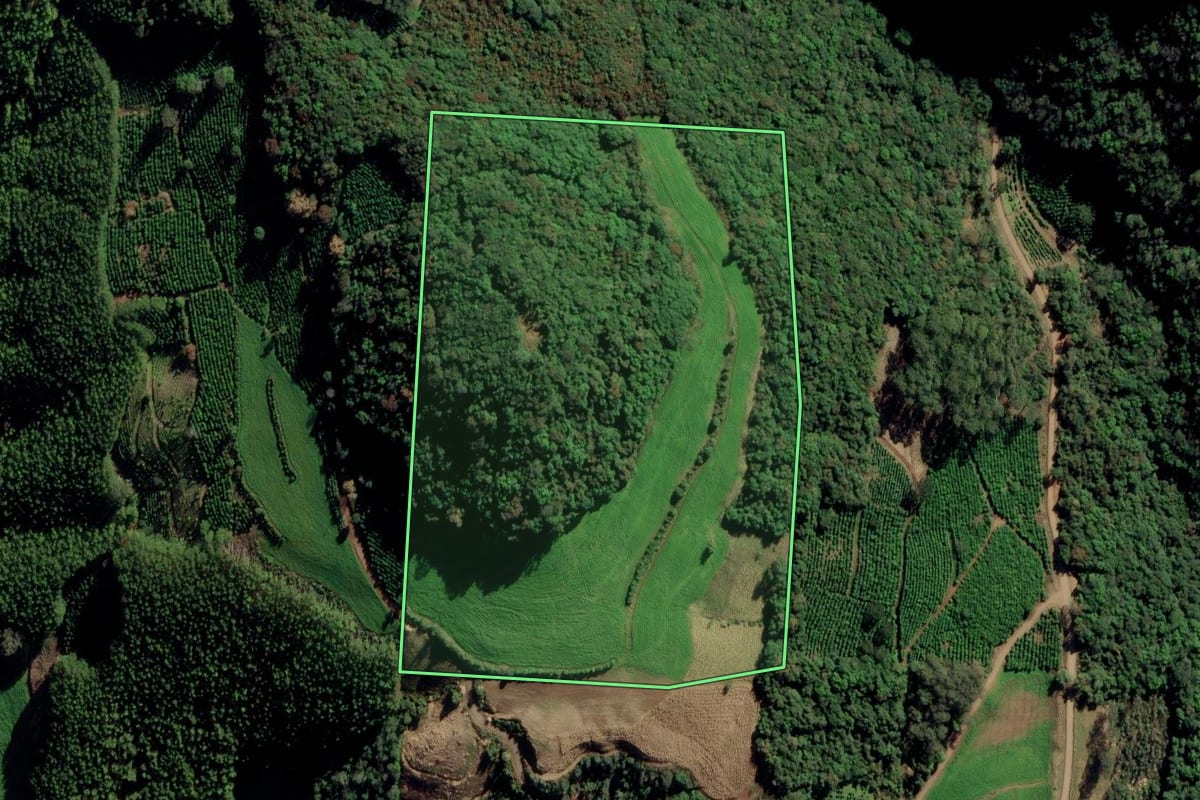 Imagem de satélite do imóvel rural em Itapuca (RS), com o contorno declarado no CAR desenhado por cima.