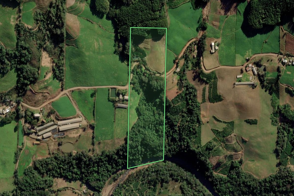 Imagem de satélite do imóvel rural em Itapuca (RS), com o contorno declarado no CAR desenhado por cima.