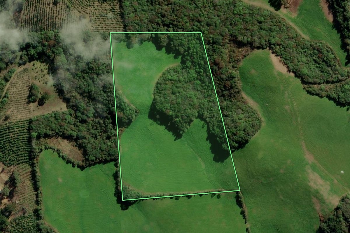 Imagem de satélite do imóvel rural em Itapuca (RS), com o contorno declarado no CAR desenhado por cima.