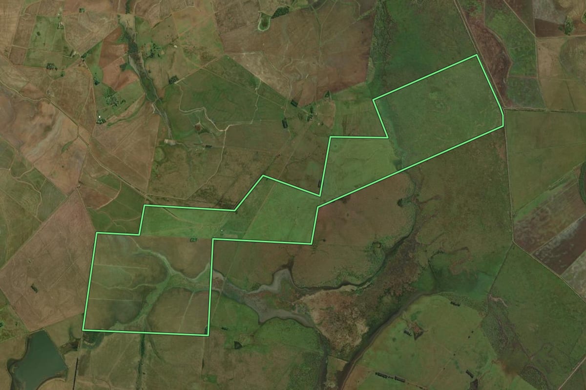 Imagem de satélite do imóvel rural em Itaqui (RS), com o contorno declarado no CAR desenhado por cima.