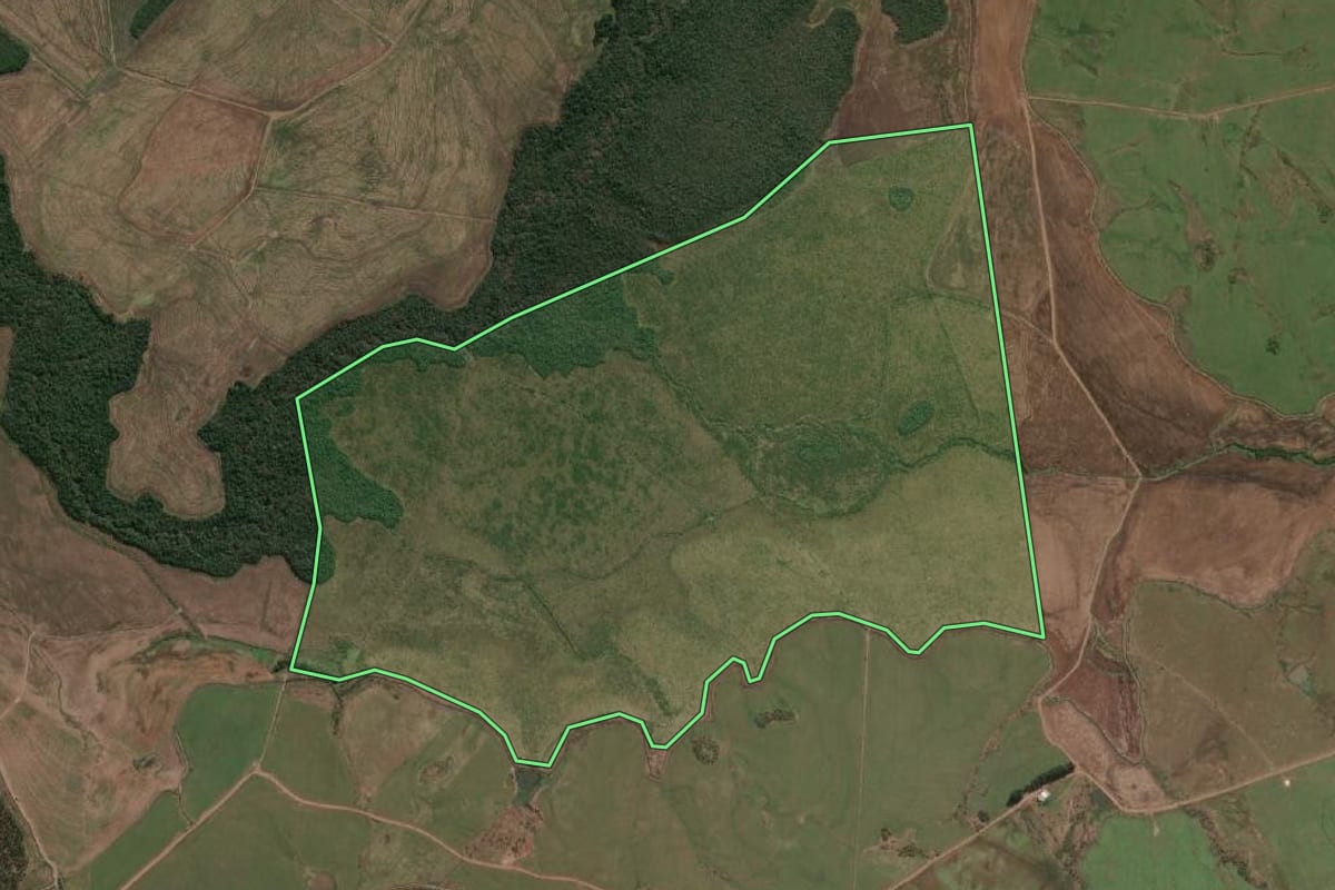 Imagem de satélite do imóvel rural em Itaqui (RS), com o contorno declarado no CAR desenhado por cima.