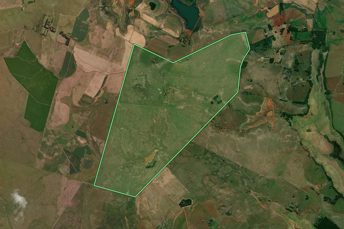 Imagem de satélite do imóvel rural em Itaqui (RS), com o contorno declarado no CAR desenhado por cima.