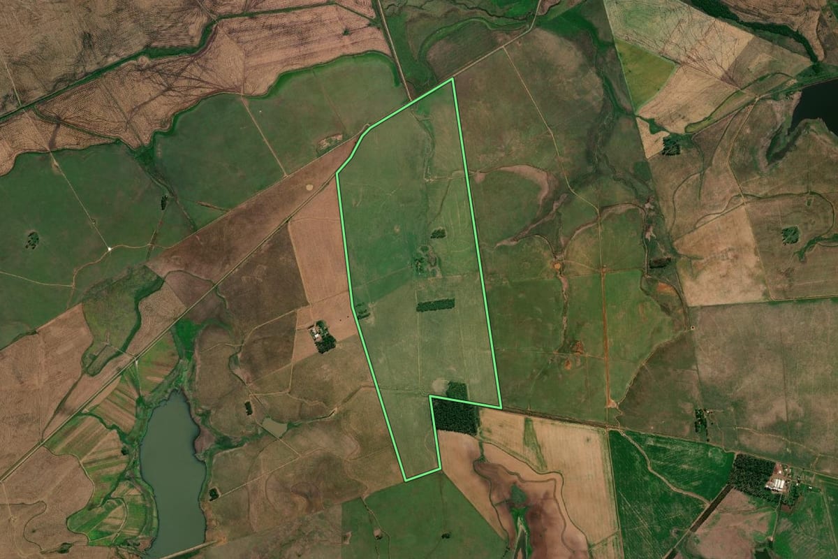 Imagem de satélite do imóvel rural em Itaqui (RS), com o contorno declarado no CAR desenhado por cima.