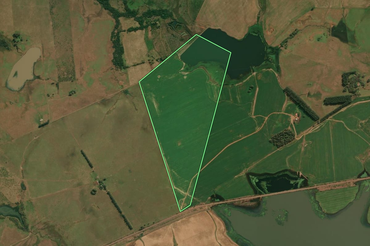 Imagem de satélite do imóvel rural em Itaqui (RS), com o contorno declarado no CAR desenhado por cima.