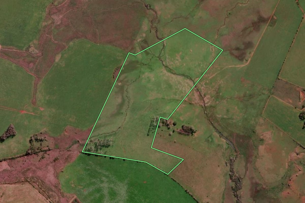 Imagem de satélite do imóvel rural em Itaqui (RS), com o contorno declarado no CAR desenhado por cima.