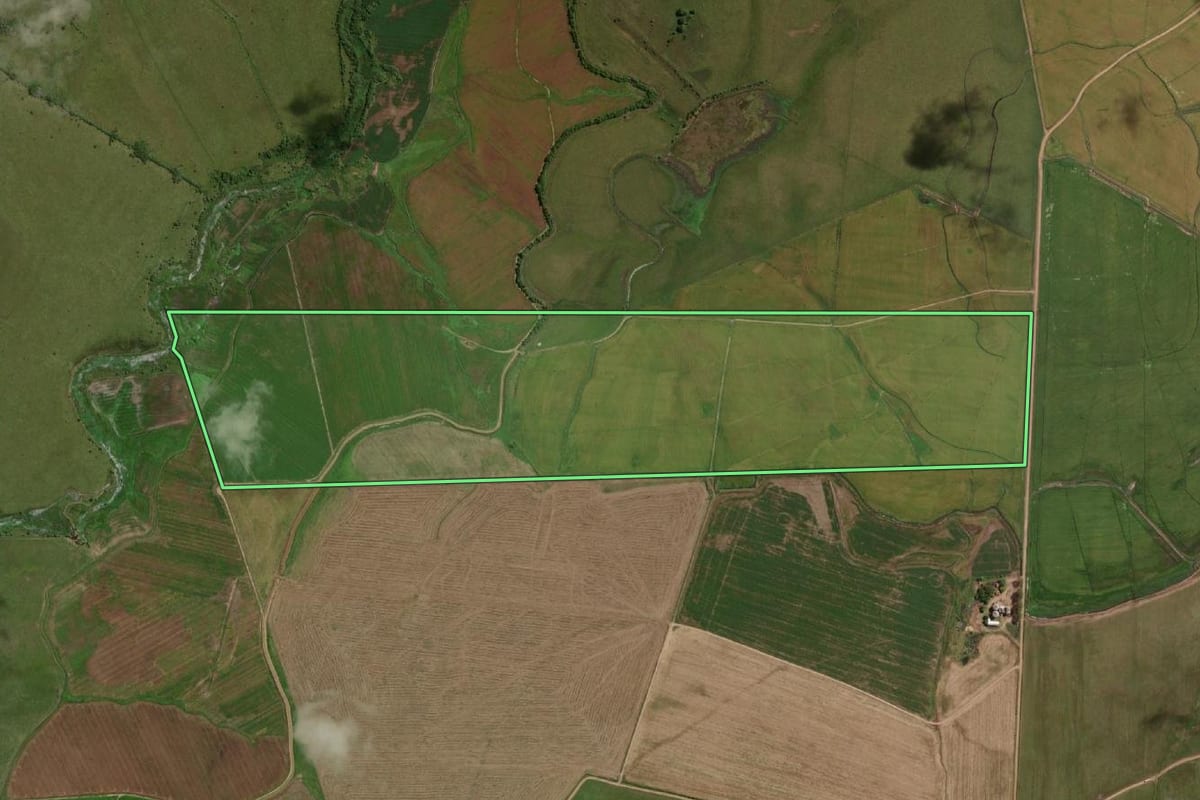 Imagem de satélite do imóvel rural em Itaqui (RS), com o contorno declarado no CAR desenhado por cima.