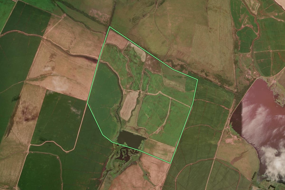 Imagem de satélite do imóvel rural em Itaqui (RS), com o contorno declarado no CAR desenhado por cima.