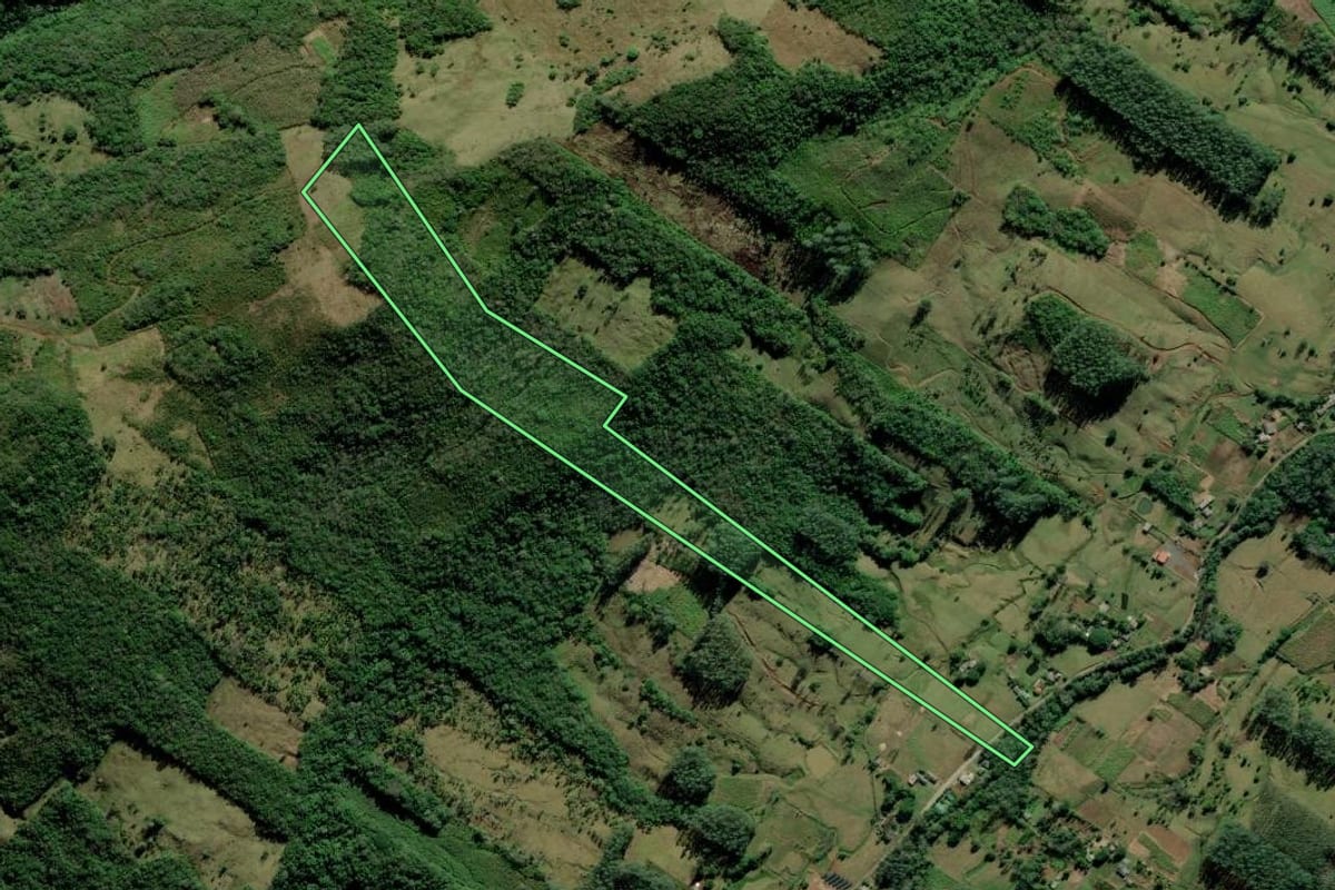 Imagem de satélite do imóvel rural em Itati (RS), com o contorno declarado no CAR desenhado por cima.