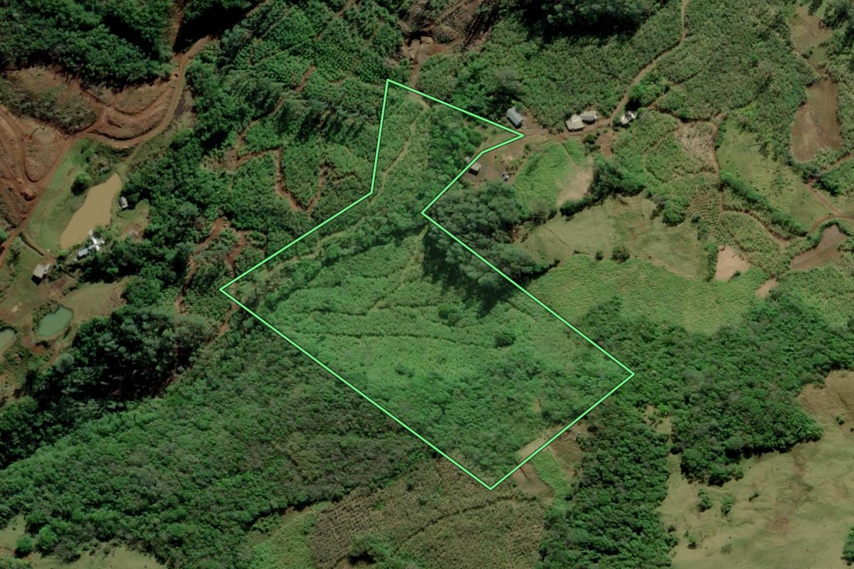 Imagem de satélite do imóvel rural em Itati (RS), com o contorno declarado no CAR desenhado por cima.