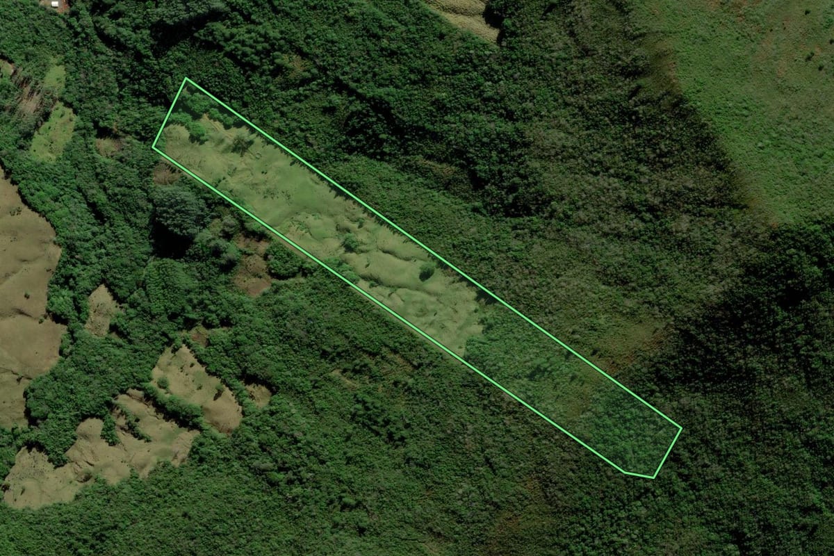 Imagem de satélite do imóvel rural em Itati (RS), com o contorno declarado no CAR desenhado por cima.
