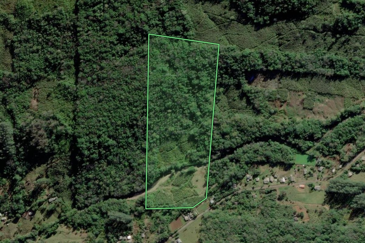 Imagem de satélite do imóvel rural em Itati (RS), com o contorno declarado no CAR desenhado por cima.