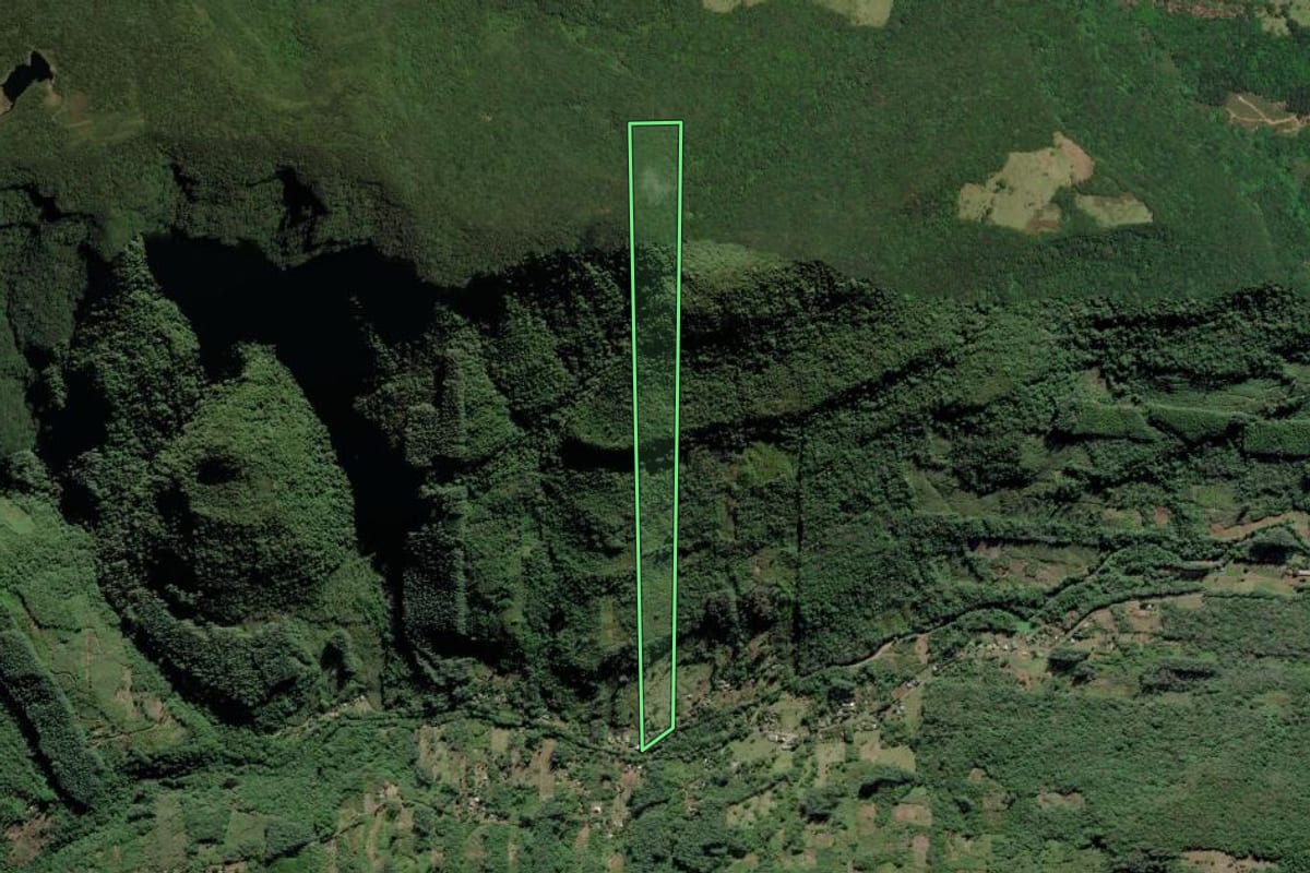 Imagem de satélite do imóvel rural em Itati (RS), com o contorno declarado no CAR desenhado por cima.