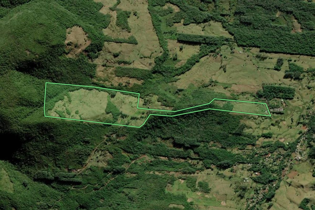 Imagem de satélite do imóvel rural em Itati (RS), com o contorno declarado no CAR desenhado por cima.