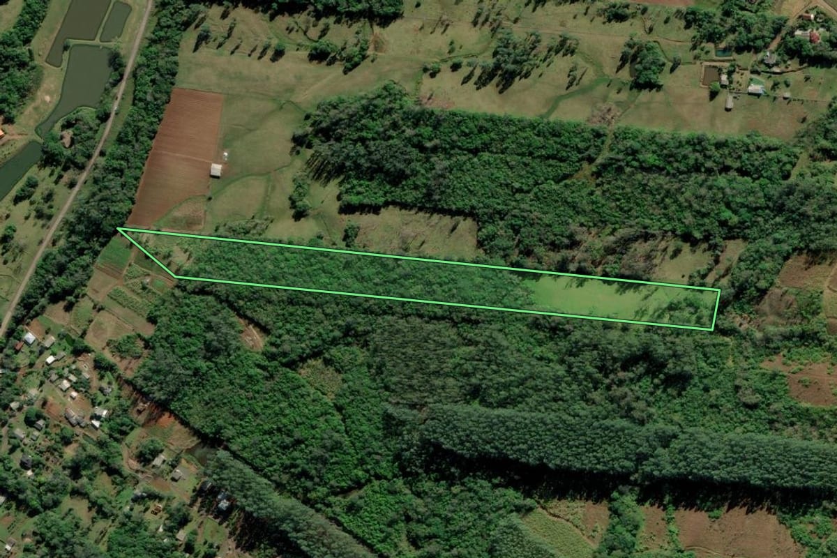 Imagem de satélite do imóvel rural em Itati (RS), com o contorno declarado no CAR desenhado por cima.
