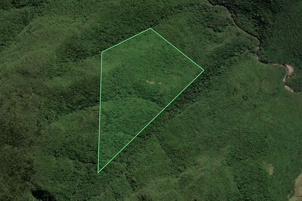 Imagem de satélite do imóvel rural em Itati (RS), com o contorno declarado no CAR desenhado por cima.