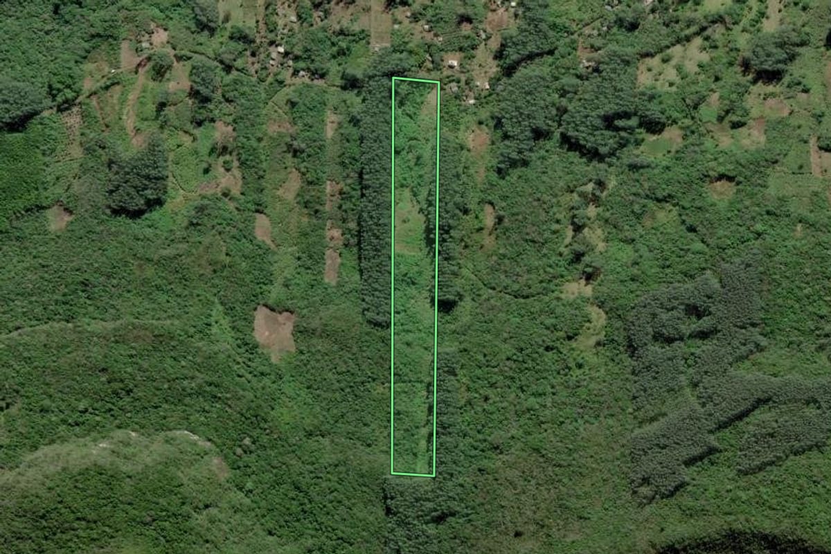 Imagem de satélite do imóvel rural em Itati (RS), com o contorno declarado no CAR desenhado por cima.