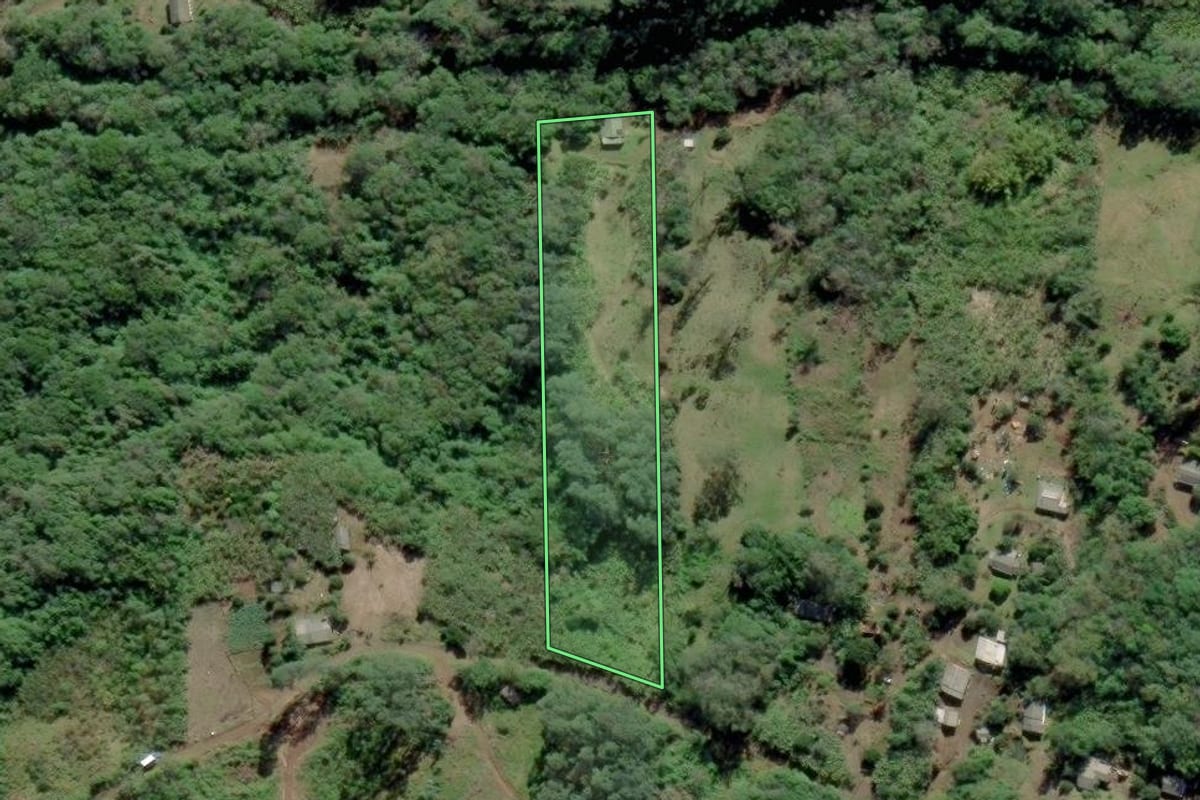 Imagem de satélite do imóvel rural em Itati (RS), com o contorno declarado no CAR desenhado por cima.