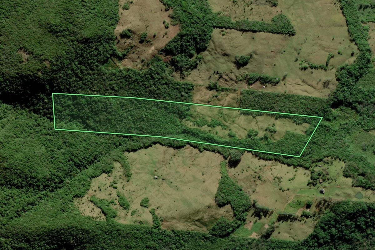 Imagem de satélite do imóvel rural em Itati (RS), com o contorno declarado no CAR desenhado por cima.