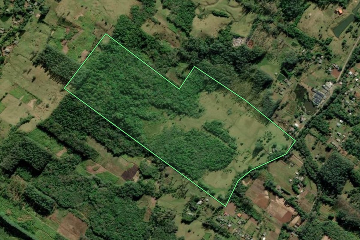 Imagem de satélite do imóvel rural em Itati (RS), com o contorno declarado no CAR desenhado por cima.