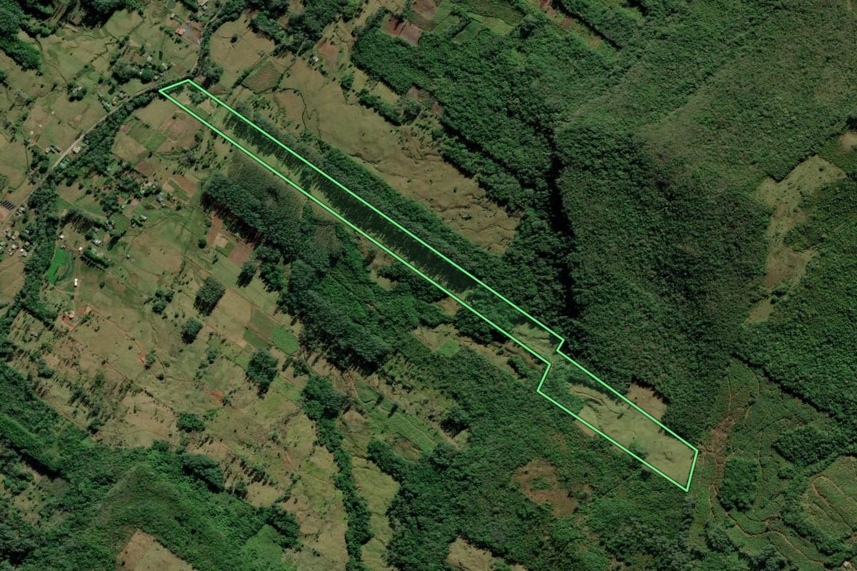 Imagem de satélite do imóvel rural em Itati (RS), com o contorno declarado no CAR desenhado por cima.