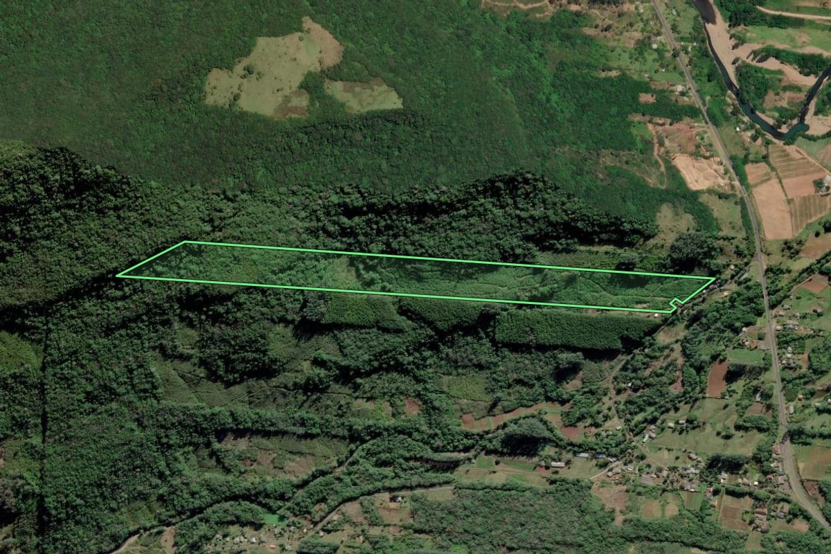Imagem de satélite do imóvel rural em Itati (RS), com o contorno declarado no CAR desenhado por cima.