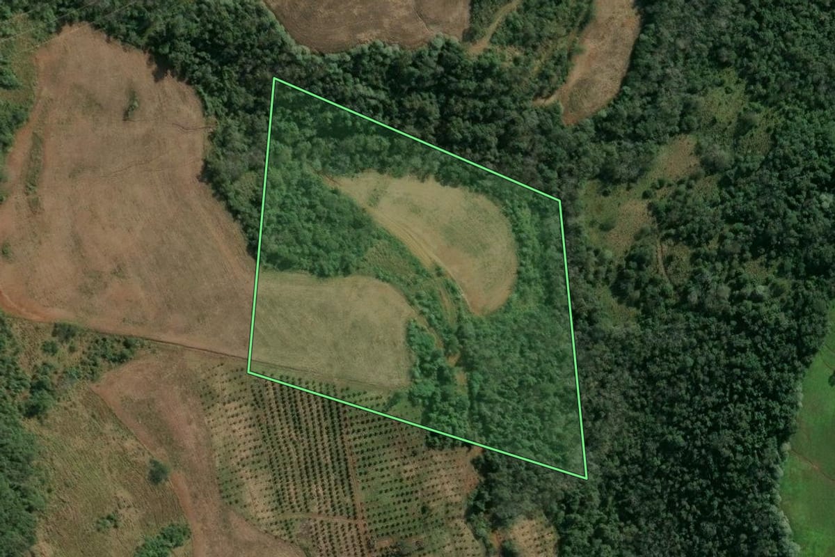 Imagem de satélite do imóvel rural em Itatiba do Sul (RS), com o contorno declarado no CAR desenhado por cima.