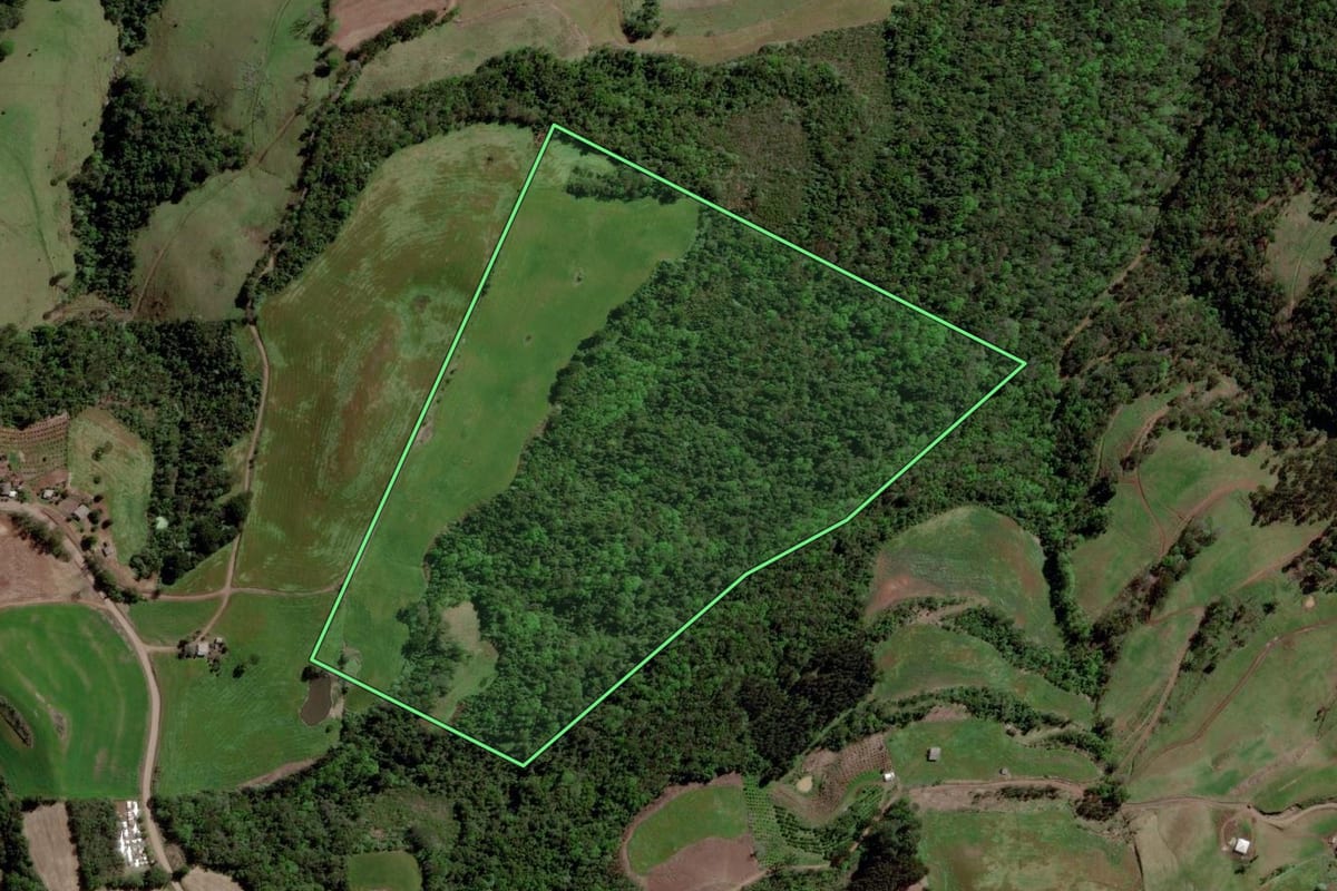 Imagem de satélite do imóvel rural em Itatiba do Sul (RS), com o contorno declarado no CAR desenhado por cima.