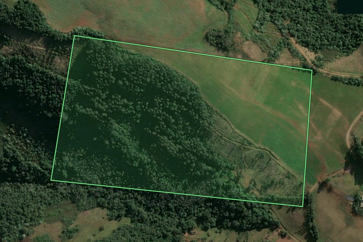 Imagem de satélite do imóvel rural em Itatiba do Sul (RS), com o contorno declarado no CAR desenhado por cima.