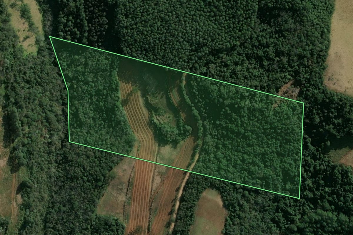 Imagem de satélite do imóvel rural em Itatiba do Sul (RS), com o contorno declarado no CAR desenhado por cima.
