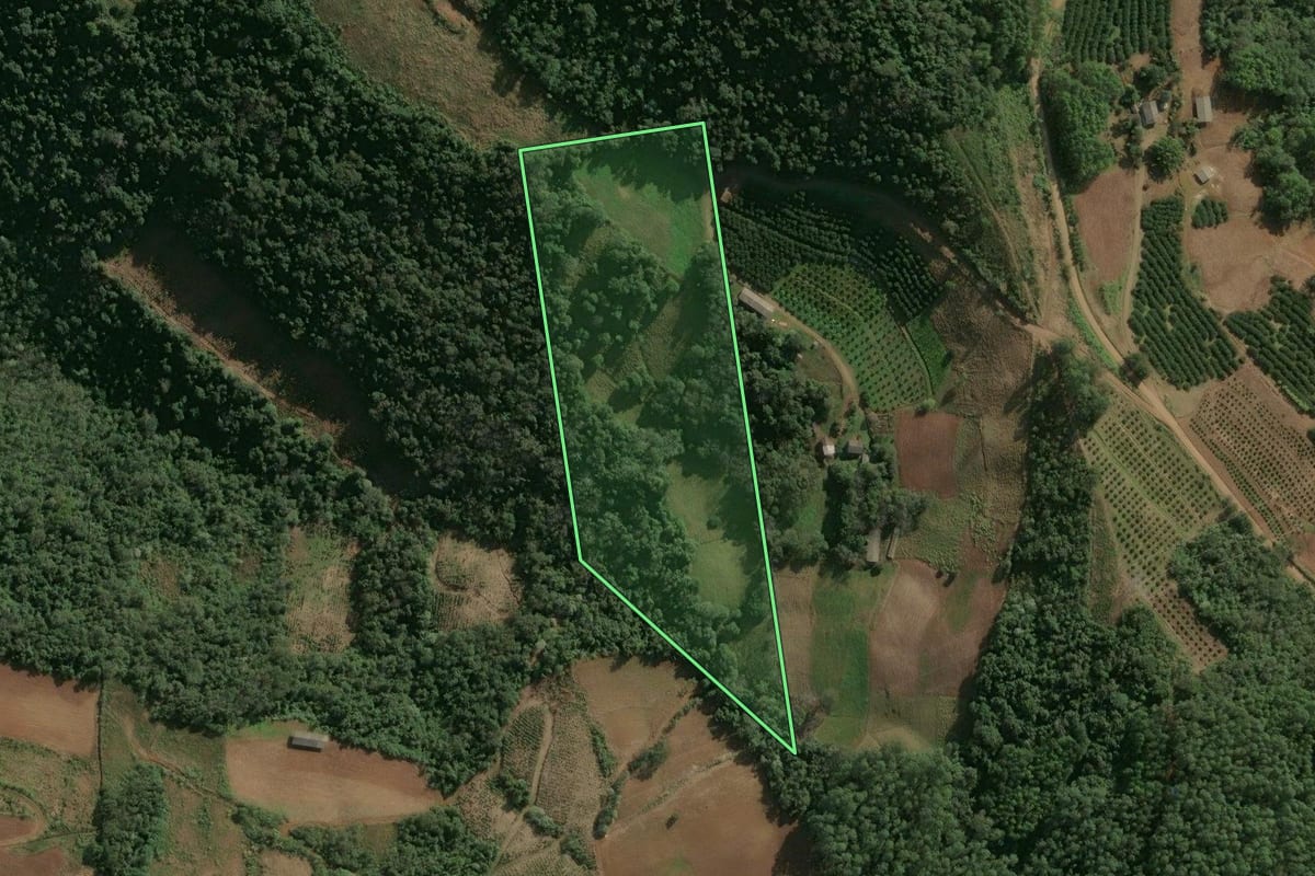 Imagem de satélite do imóvel rural em Itatiba do Sul (RS), com o contorno declarado no CAR desenhado por cima.
