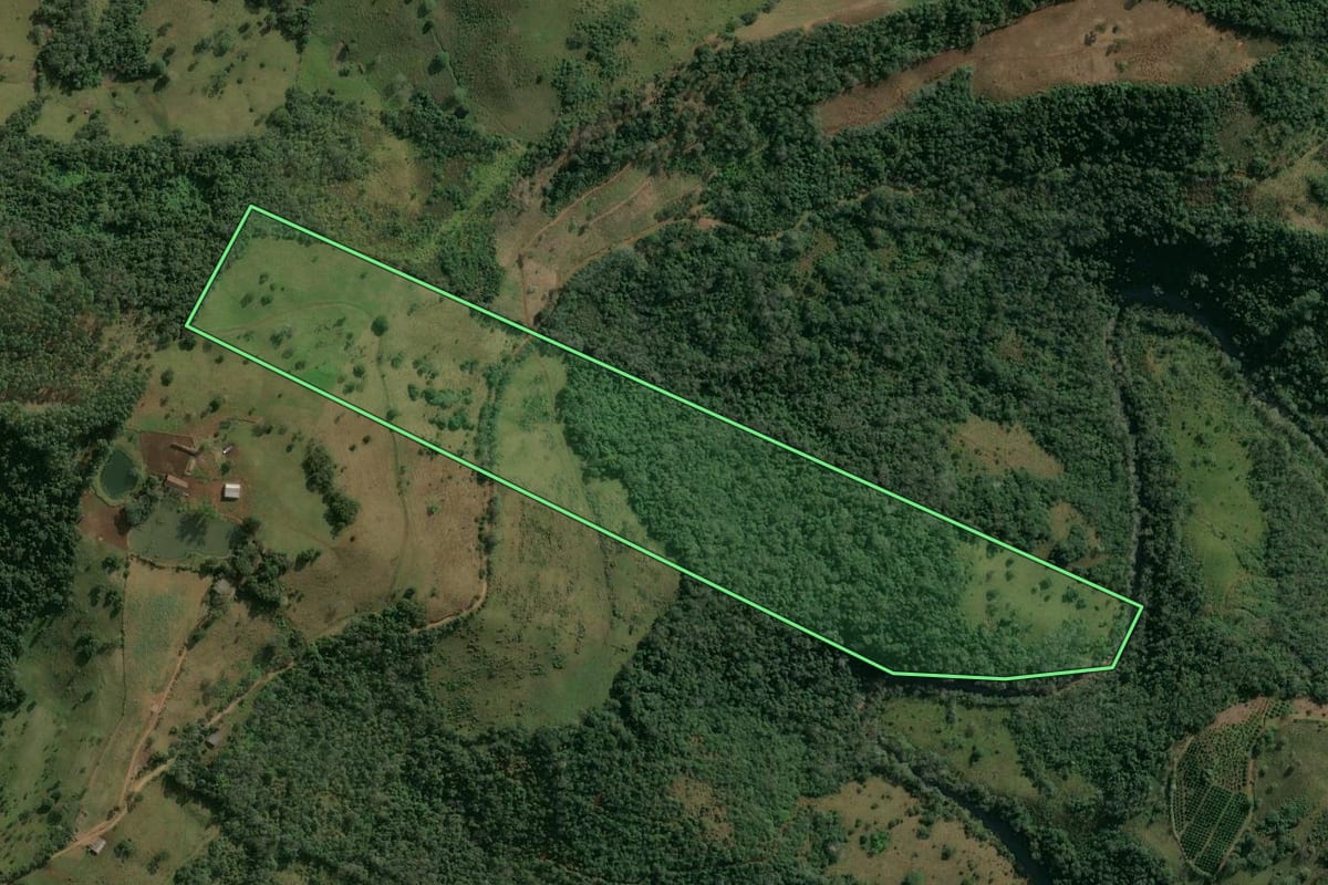Imagem de satélite do imóvel rural em Itatiba do Sul (RS), com o contorno declarado no CAR desenhado por cima.