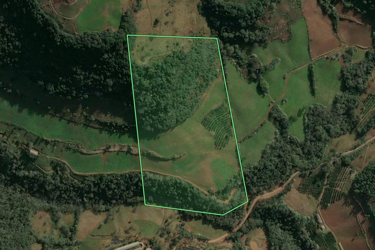 Imagem de satélite do imóvel rural em Itatiba do Sul (RS), com o contorno declarado no CAR desenhado por cima.
