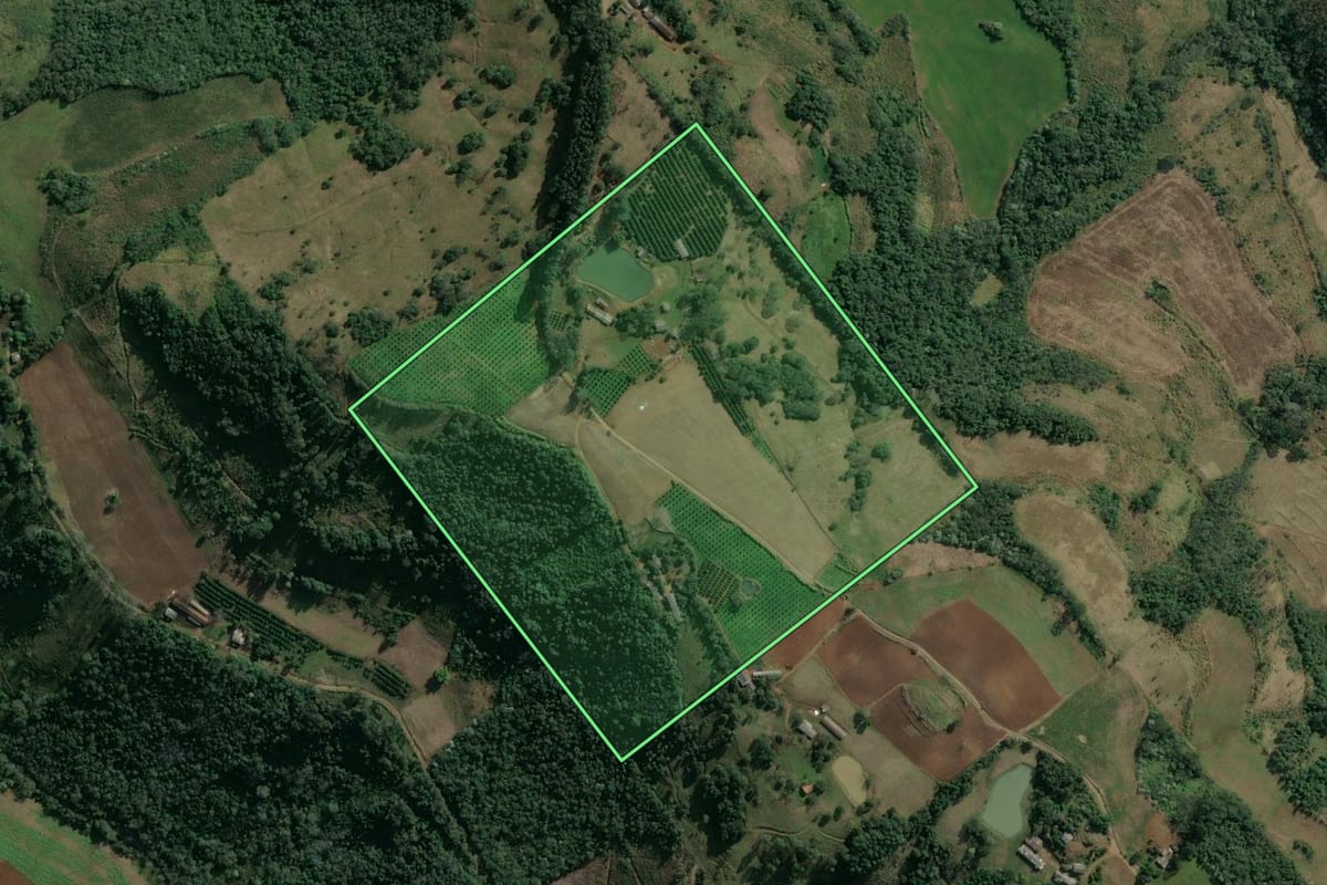 Imagem de satélite do imóvel rural em Itatiba do Sul (RS), com o contorno declarado no CAR desenhado por cima.