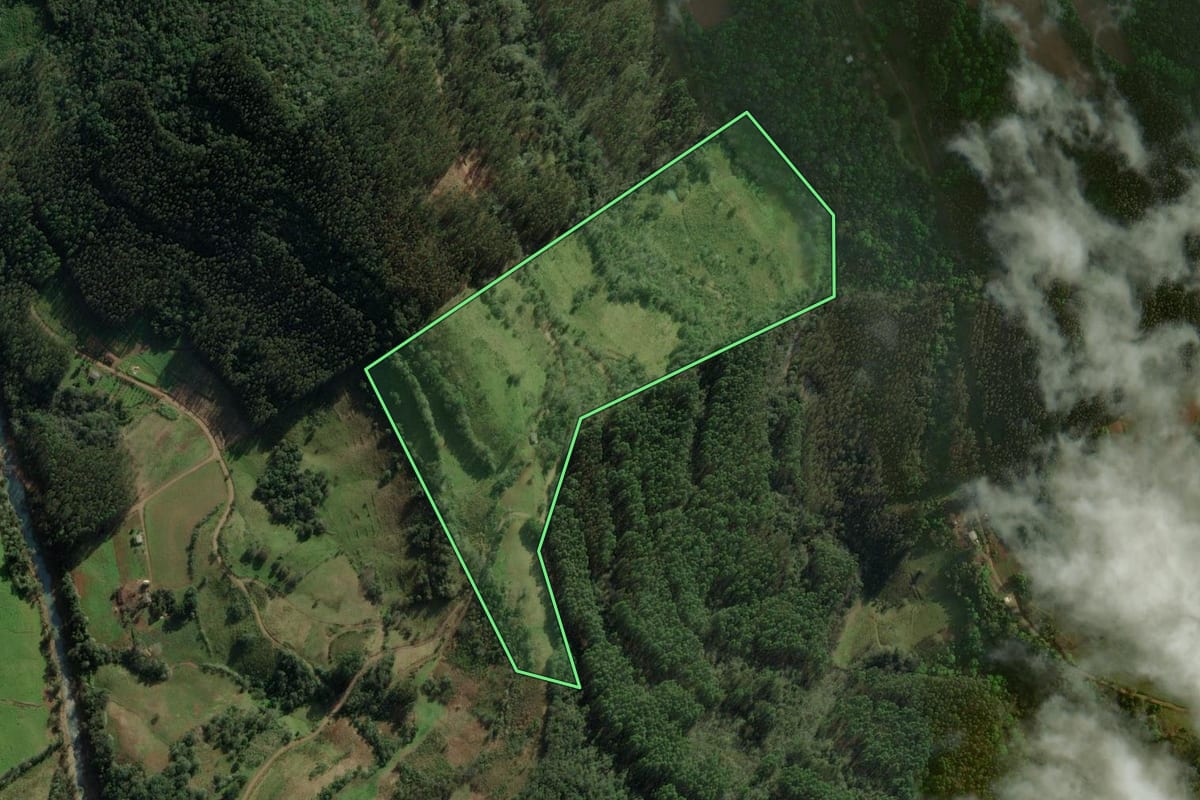 Imagem de satélite do imóvel rural em Itatiba do Sul (RS), com o contorno declarado no CAR desenhado por cima.