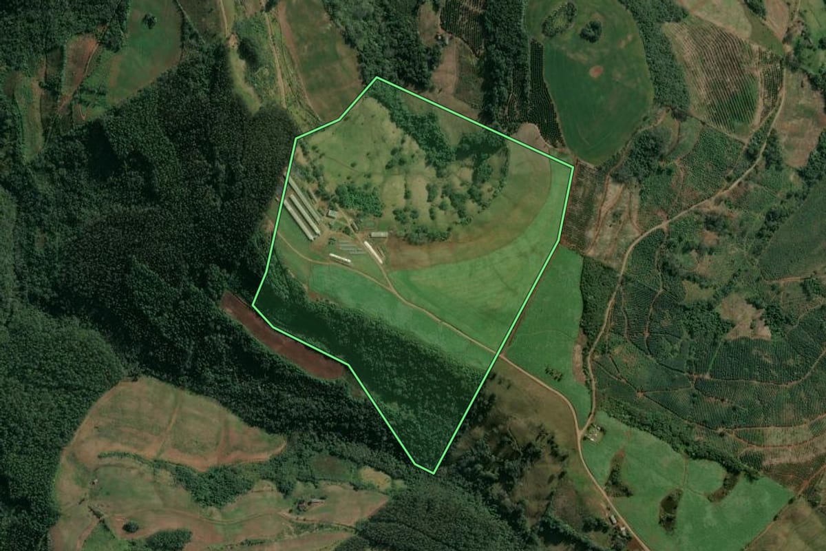 Imagem de satélite do imóvel rural em Itatiba do Sul (RS), com o contorno declarado no CAR desenhado por cima.