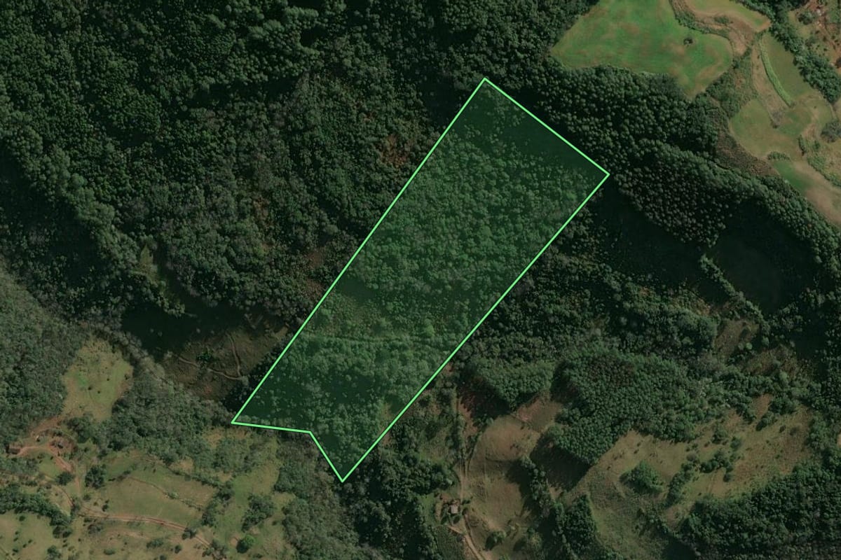 Imagem de satélite do imóvel rural em Itatiba do Sul (RS), com o contorno declarado no CAR desenhado por cima.