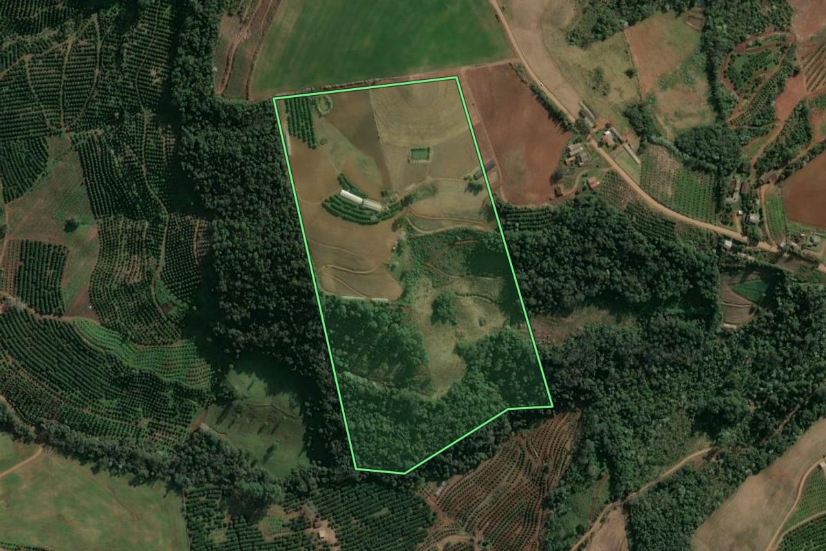 Imagem de satélite do imóvel rural em Itatiba do Sul (RS), com o contorno declarado no CAR desenhado por cima.