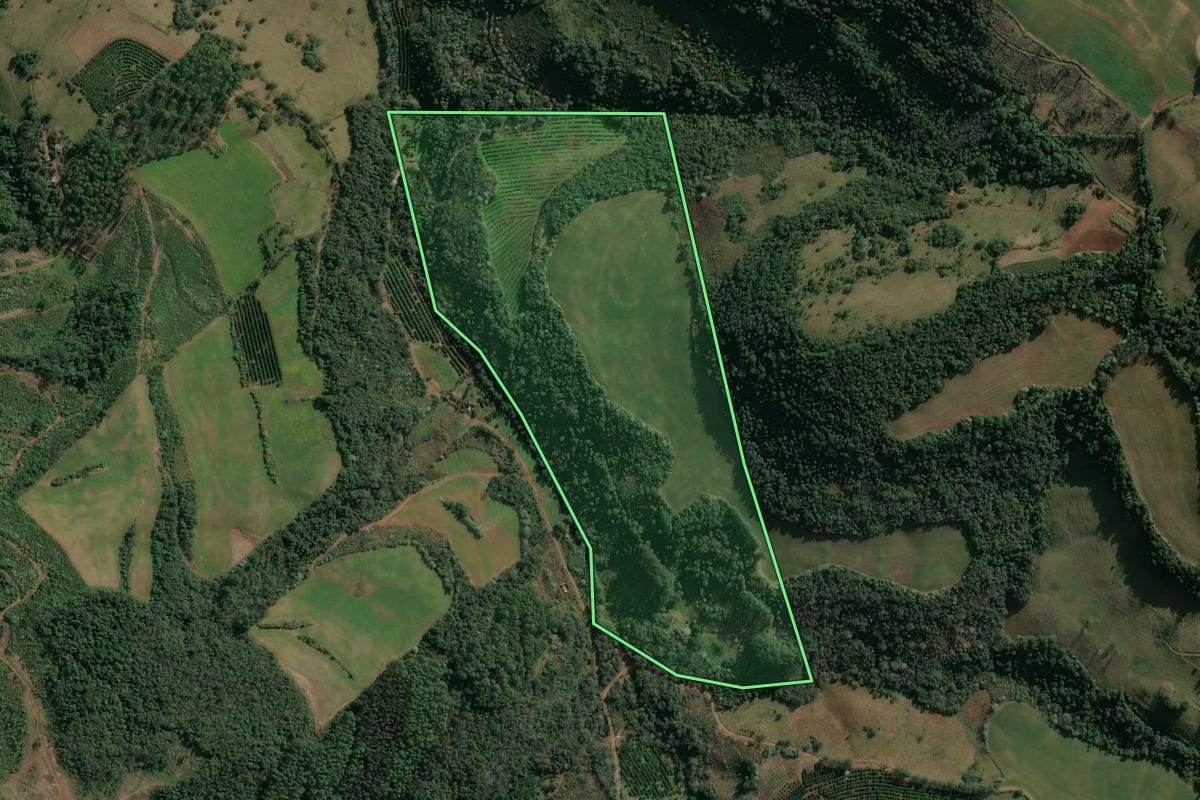 Imagem de satélite do imóvel rural em Itatiba do Sul (RS), com o contorno declarado no CAR desenhado por cima.