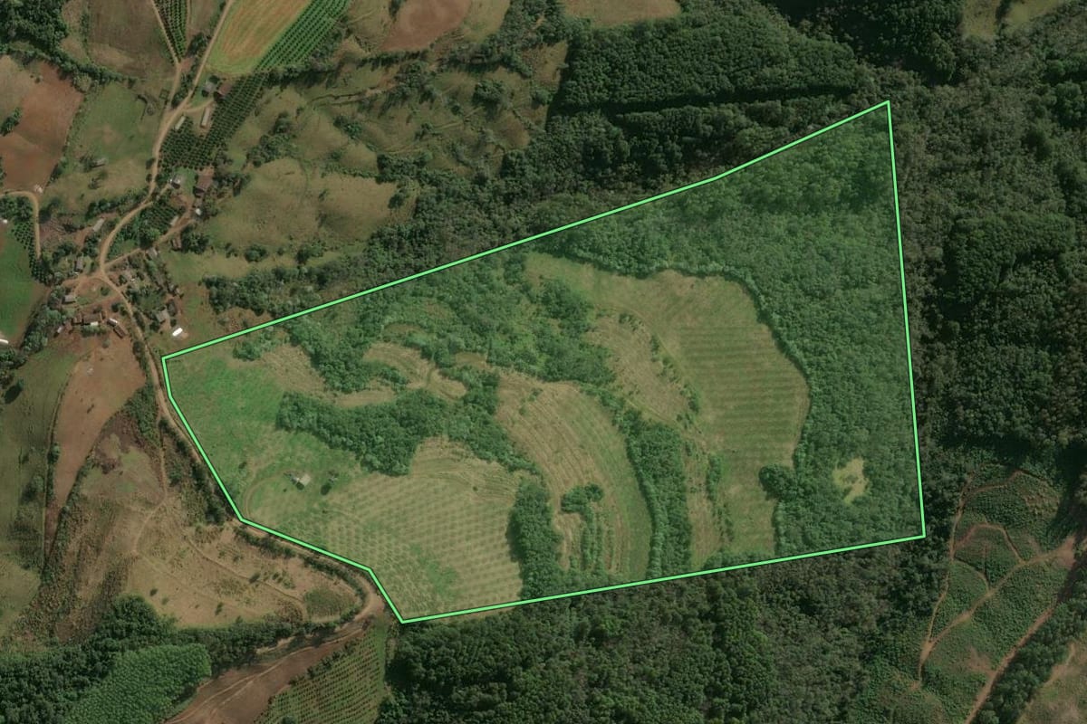 Imagem de satélite do imóvel rural em Itatiba do Sul (RS), com o contorno declarado no CAR desenhado por cima.