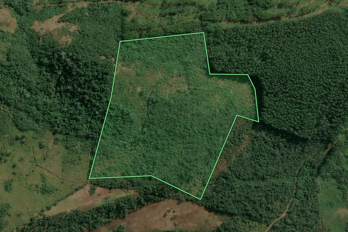 Imagem de satélite do imóvel rural em Itatiba do Sul (RS), com o contorno declarado no CAR desenhado por cima.