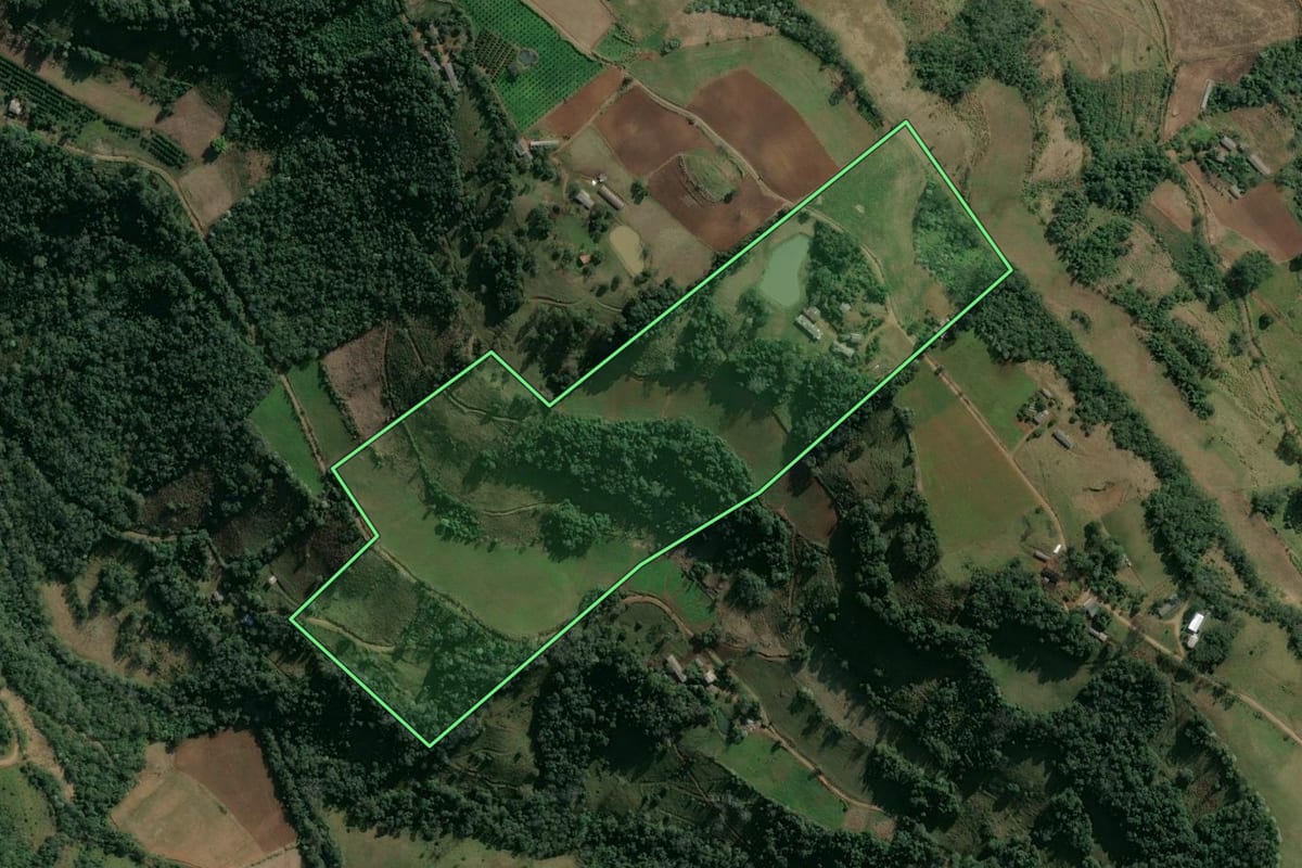 Imagem de satélite do imóvel rural em Itatiba do Sul (RS), com o contorno declarado no CAR desenhado por cima.